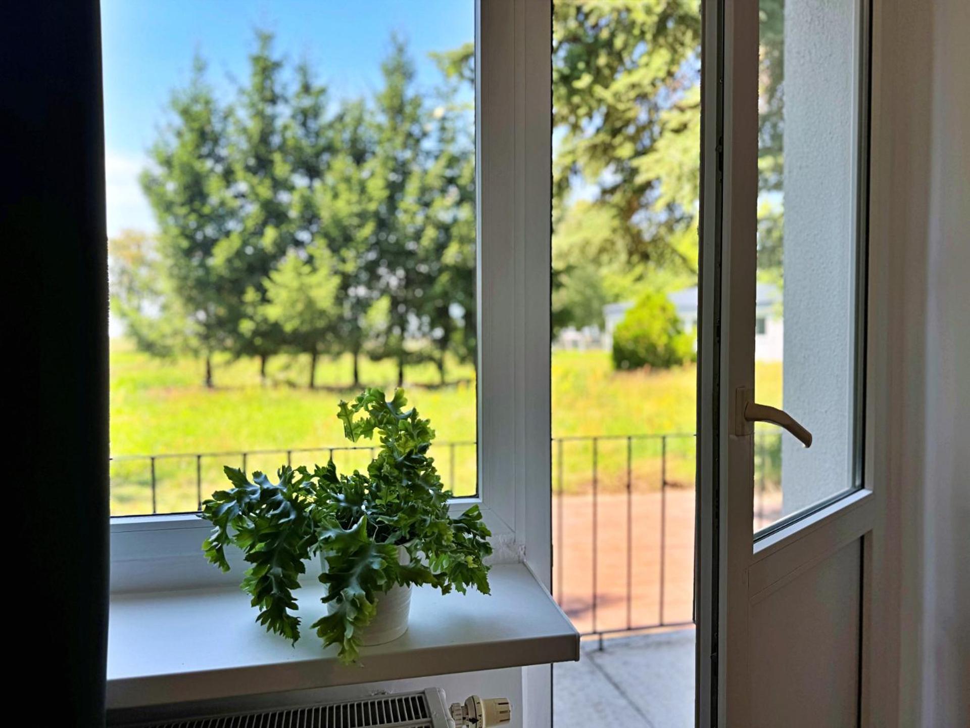 Apartamenty Lotnisko Leszno Leszno  Buitenkant foto